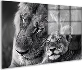 Leeuwen glasschilderij - Dieren schilderijen - Schilderijen Welp - Landelijke schilderijen - Plexiglas - Decoratie slaapkamer acrylglas 60x40 cm