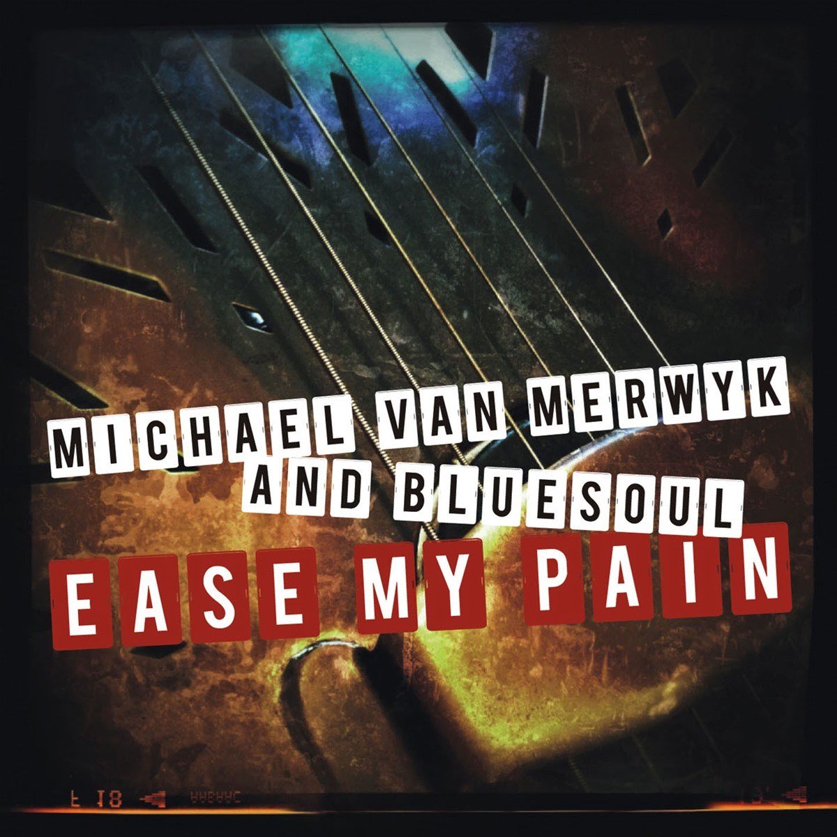 Michael Van Merwyk & Bluesoul - Easy My Pain (CD)