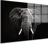 Tableau sur verre éléphant - Tableau Animaux - Tableau sur verre noir et blanc - Tableaux modernes - Tableaux plexiglas - Peintures et posters verre acrylique 75x50 cm