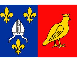 Vlag Charente-Maritime 150x225cm