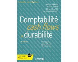 Comptabilité, cash flows et durabilité