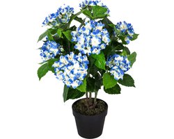 Homescapes kunstplant blauw 'hortensia' in pot, 70 cm