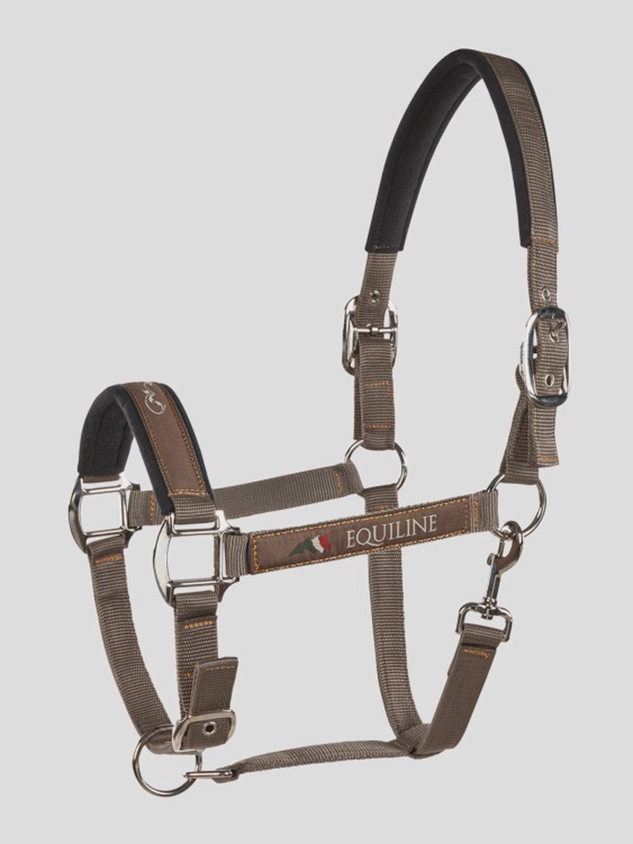 Halter Timmy
