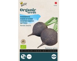 Buzzy® Organic Rammenas Ronde Zwarte (BIO) - biologisch groentezaad