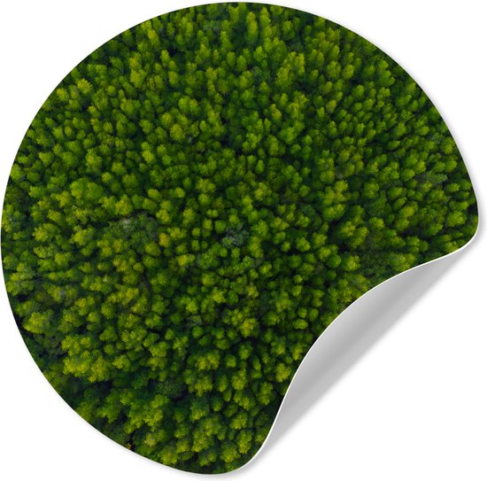 WallCircle® - Papier peint cercle 120x120 cm - Stickers muraux Forêt - Arbre - Vert - Cercle mural salon - Cercle mural chambre - Décoration de pièce autocollante - Accessoires de Décoration murale XXL
