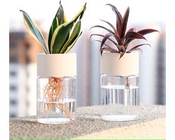 Bloempot - Vaasje - mini - Transparant - kunstof - Grondloos - Plant - Potten - Huisdecoratie - Hydrocultuur