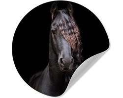 WallCircle® - Behangcirkel 50x50 cm - Muurstickers Paarden - Fries - Manen - Zwart - Dieren - Muurcirkel woonkamer - Wandcirkel slaapkamer - Kamer decoratie zelfklevend - Muurdecoratie accessoires