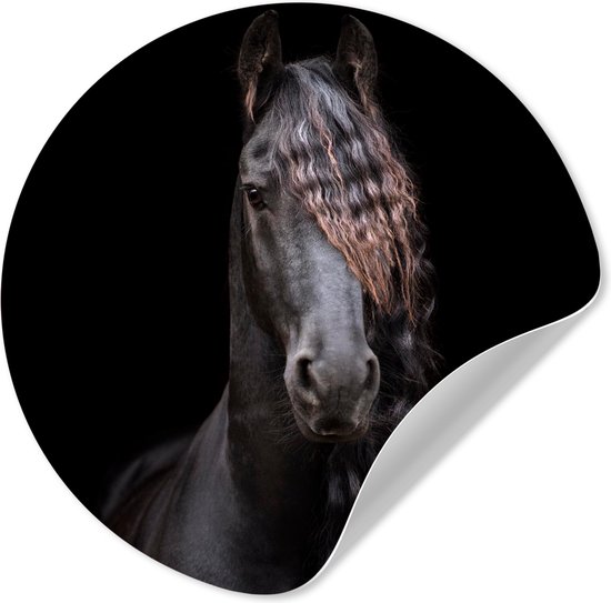 WallCircle® - Behangcirkel 50x50 cm - Muurstickers Paarden - Fries - Manen - Zwart - Dieren - Muurcirkel woonkamer - Wandcirkel slaapkamer - Kamer decoratie zelfklevend - Muurdecoratie accessoires