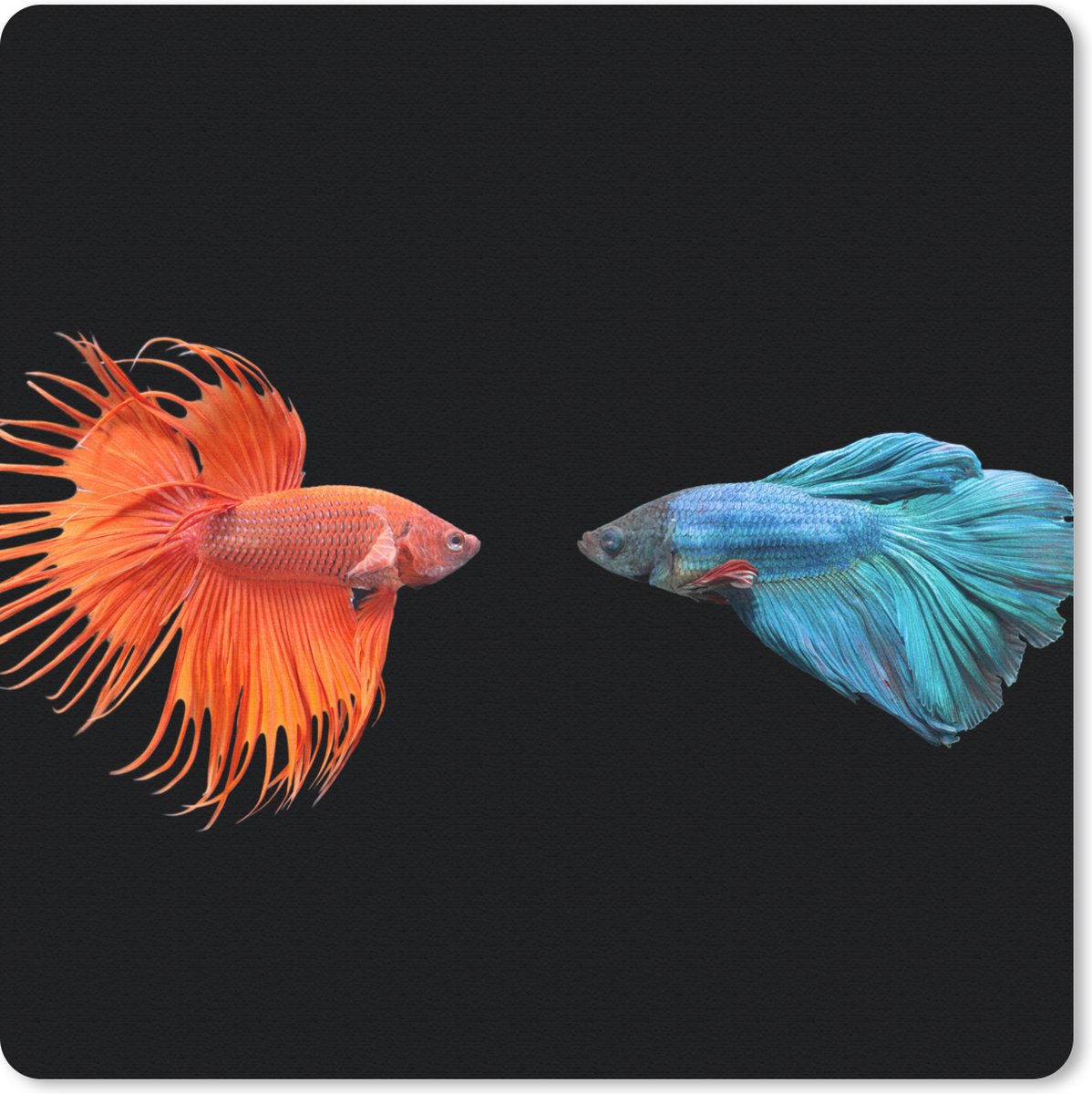 Muismat 30x30 cm - Mousepad Vis - Wilde dieren - Zwart - Muismatten