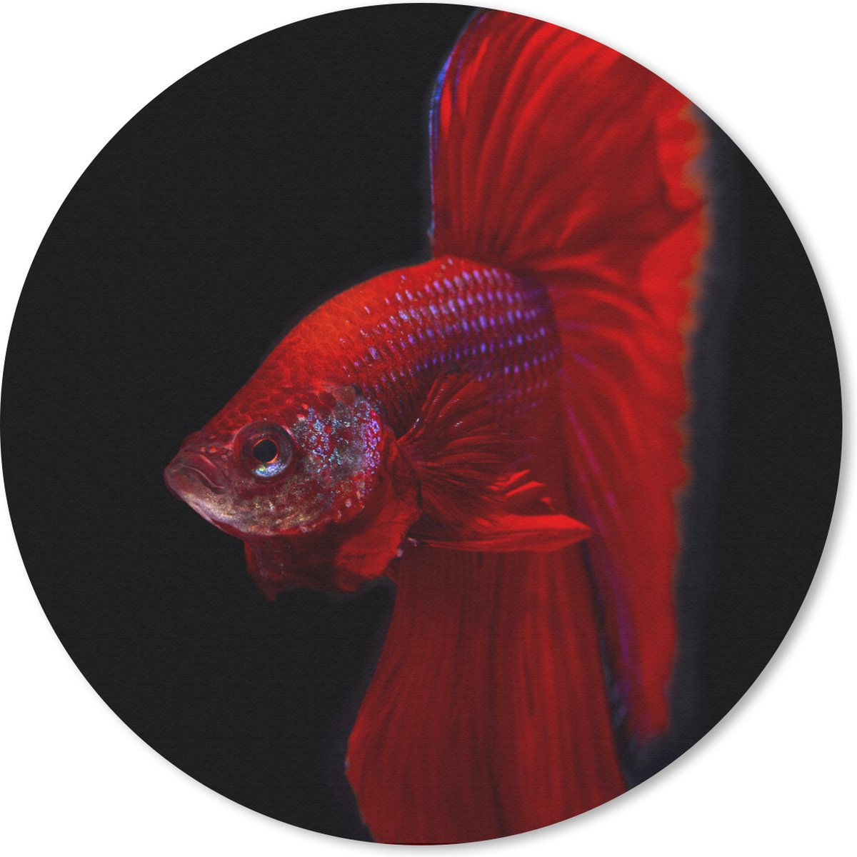 Muismat rond 20x20 cm - Mousepad Vis - Dieren - Rood - Ronde muismatten