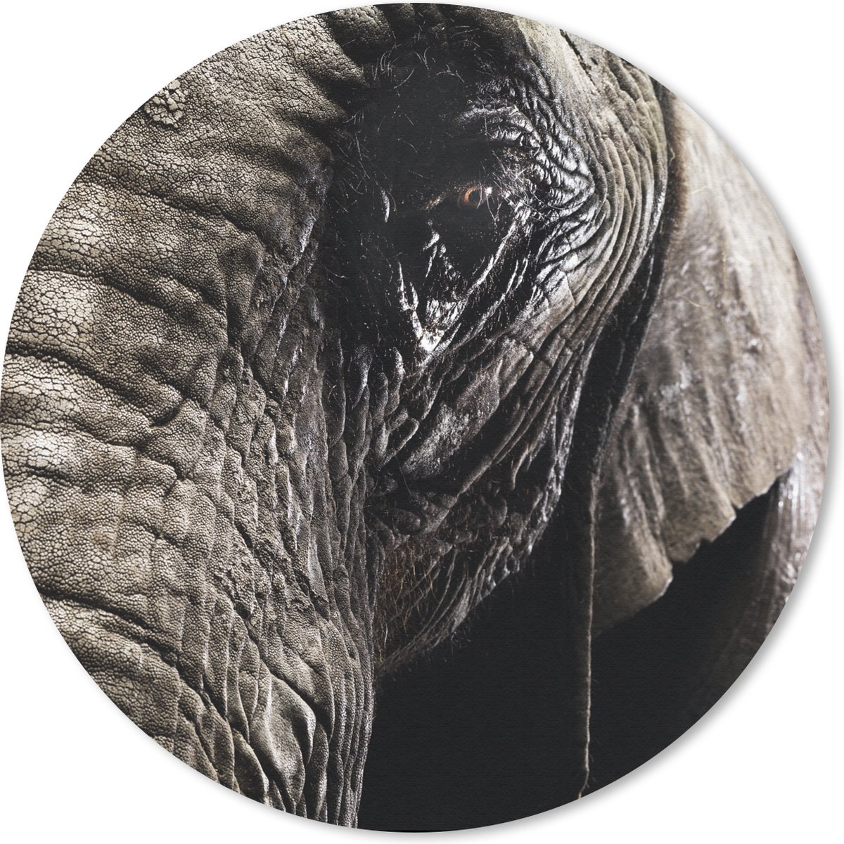Muismat rond 30x30 cm - Mousepad Olifant - Dieren - Close up - Zwart - Ronde muismatten
