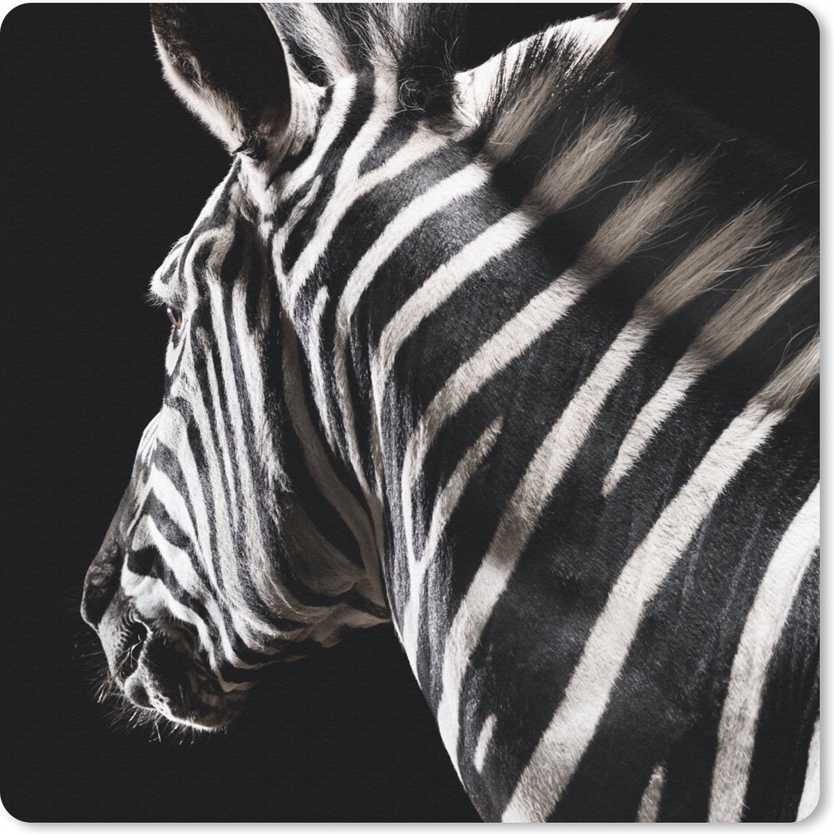 Muismat 30x30 cm - Mousepad Zebra - Dier - Zwart - Portret - Muismatten