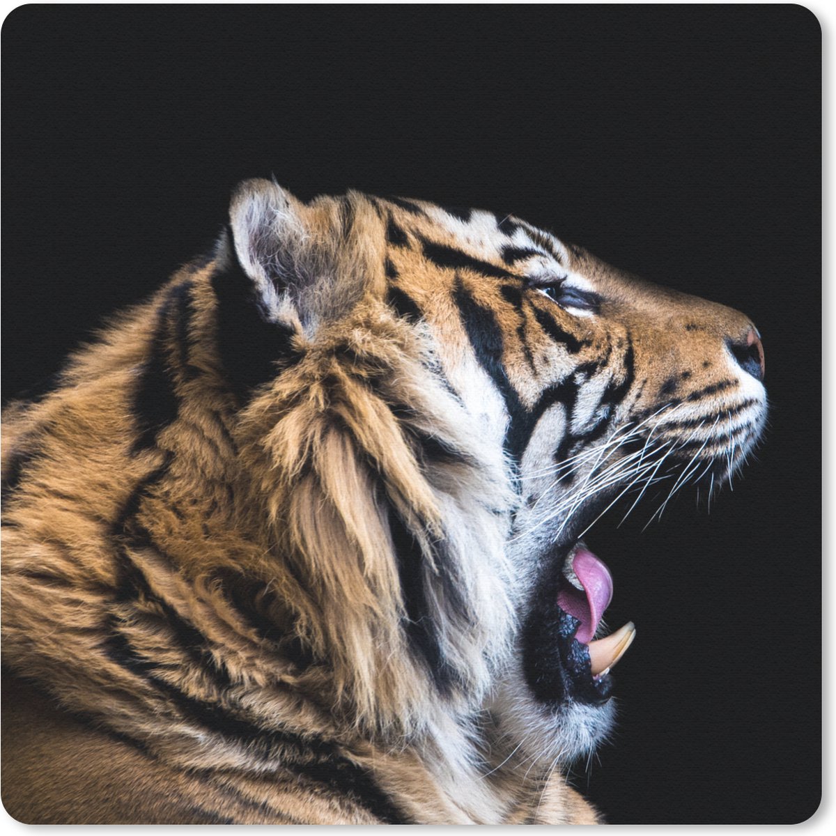 Muismat 30x30 cm - Mousepad Tijger - Dieren - Portret - Muismatten