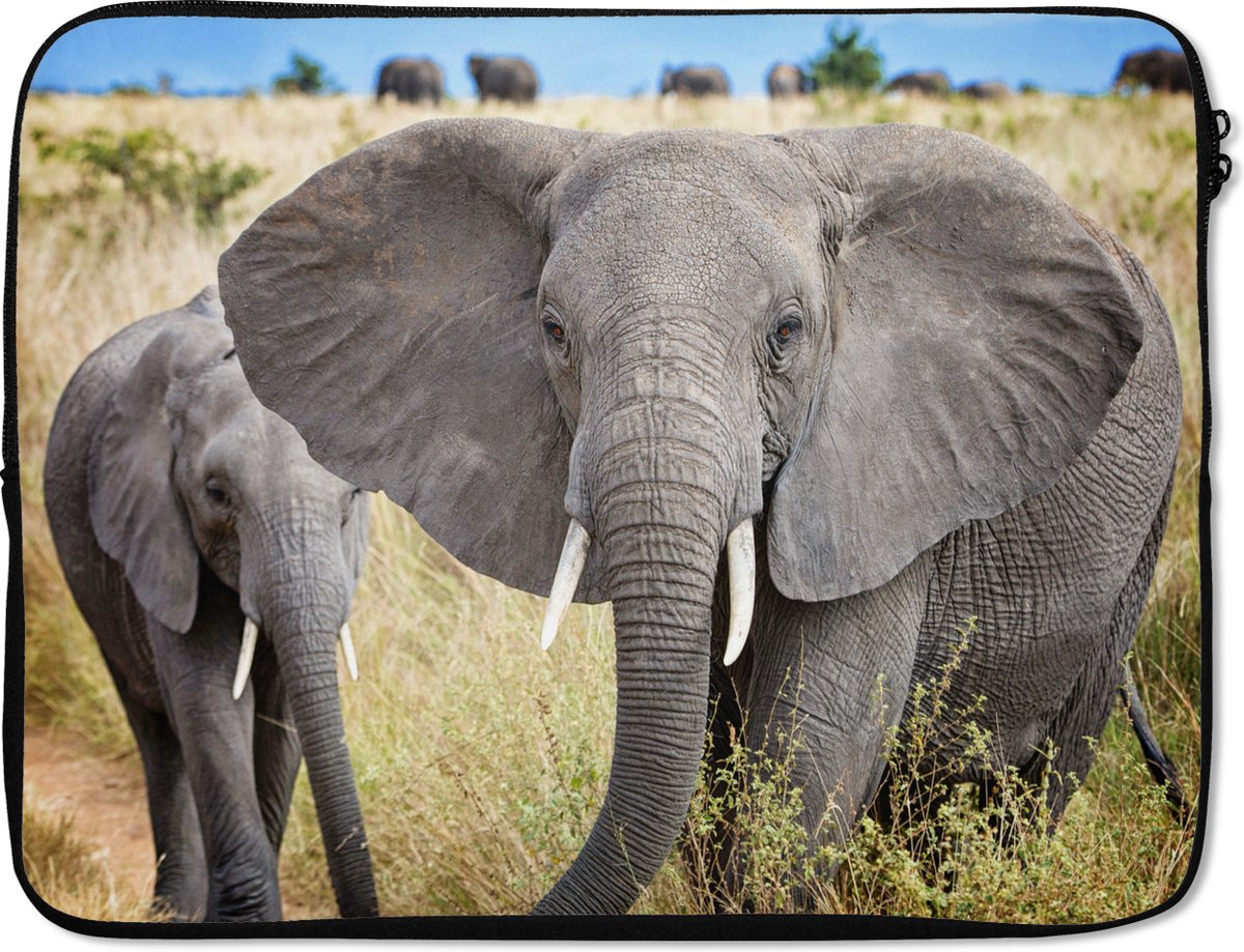Laptophoes 15.6 inch - Olifant - Dieren - Gras - Natuur - Laptop sleeve - Binnenmaat 37x26 cm - Zwarte achterkant