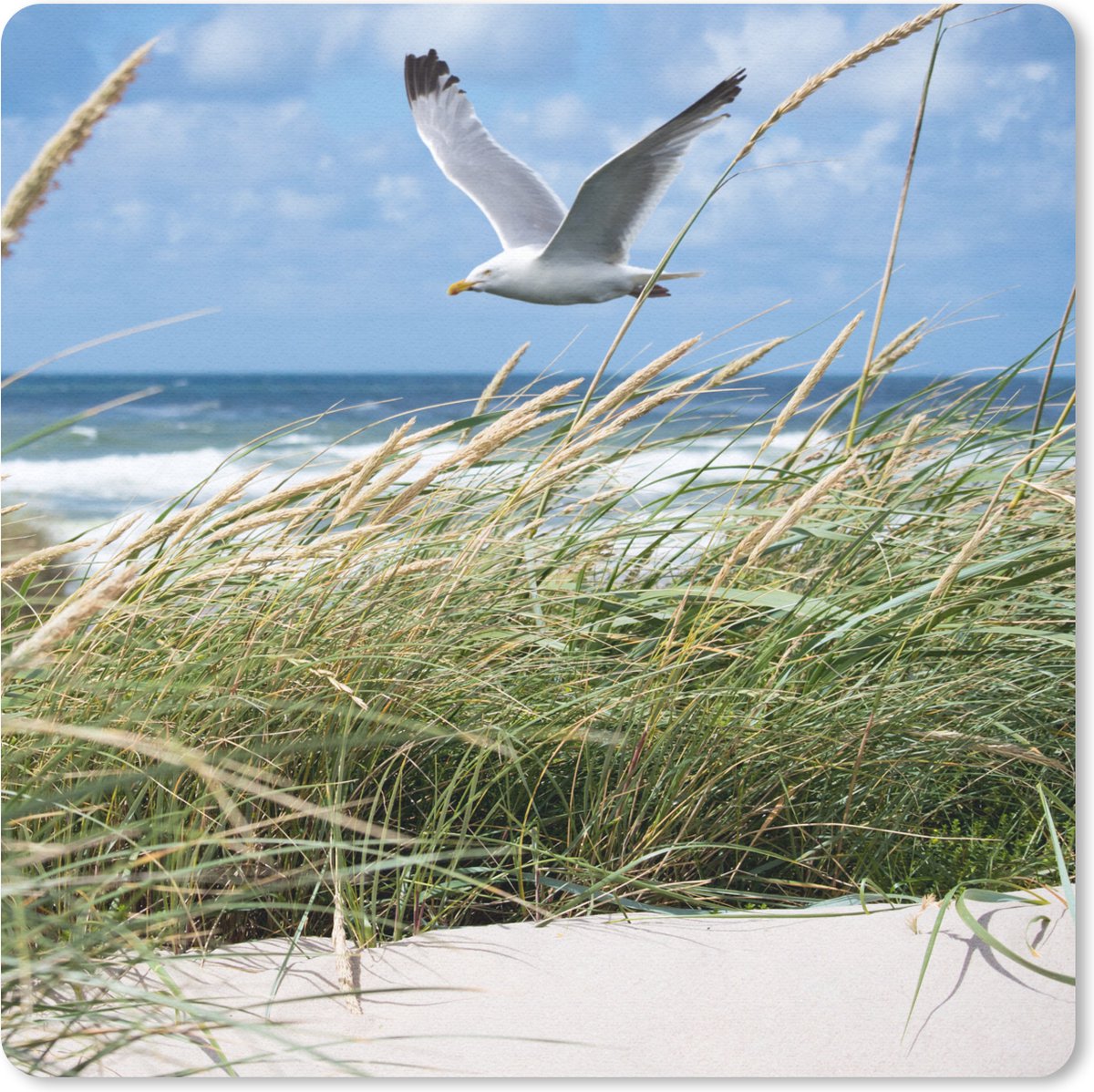 Muismat 20x20 cm - Mousepad Strand - Planten - Vogel - Muismatten