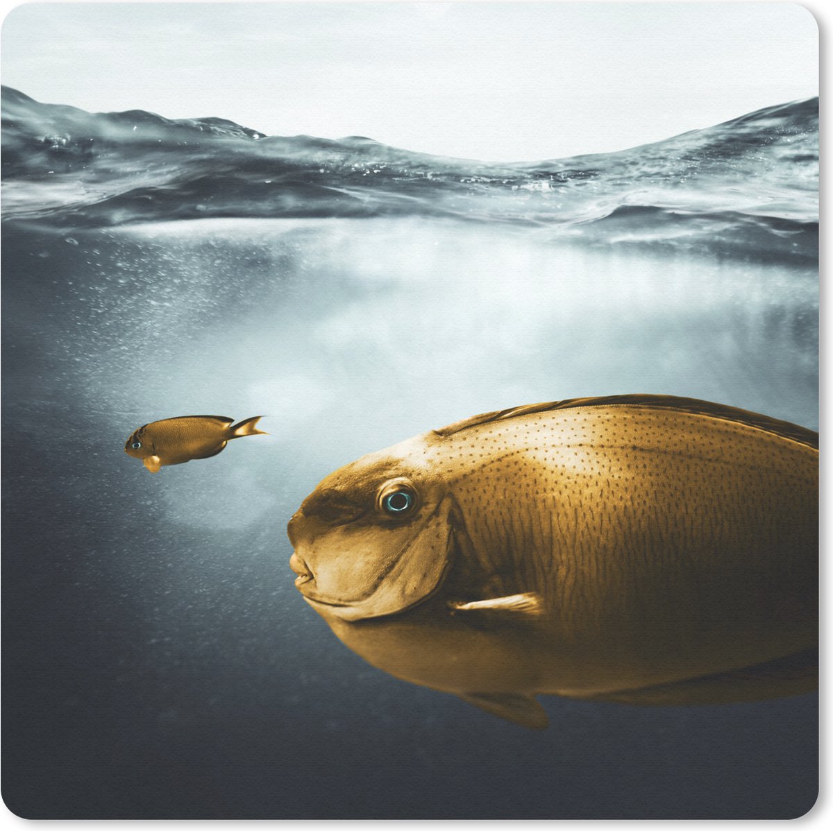 Muismat 20x20 cm - Mousepad Zee - Vissen - Goud - Muismatten