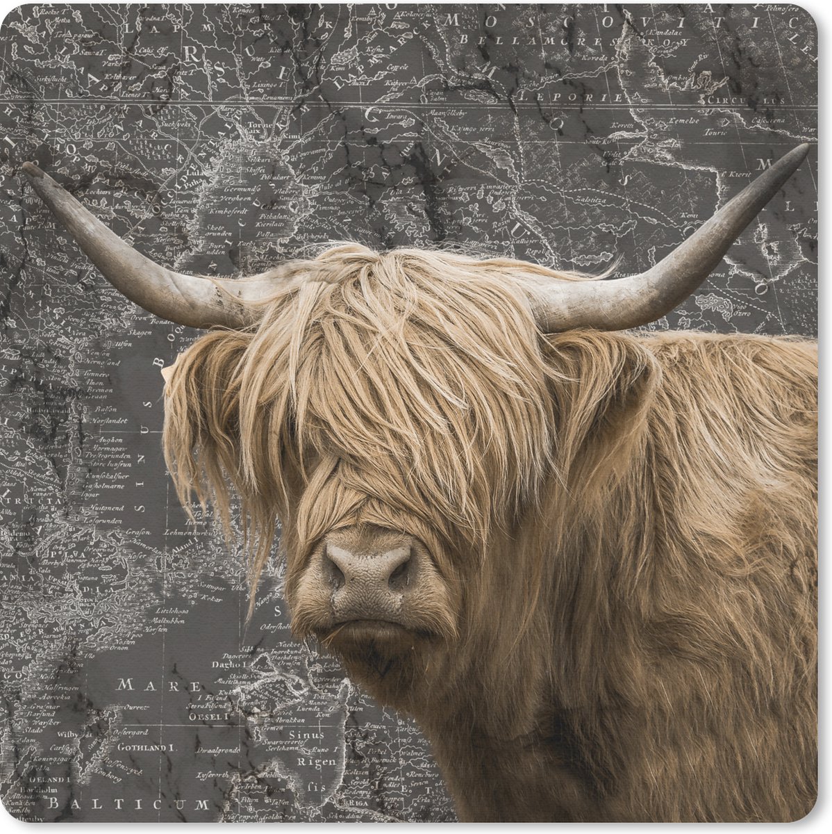 Muismat 20x20 cm - Mousepad Schotse hooglander - Wereldkaart - Dieren - Muismatten