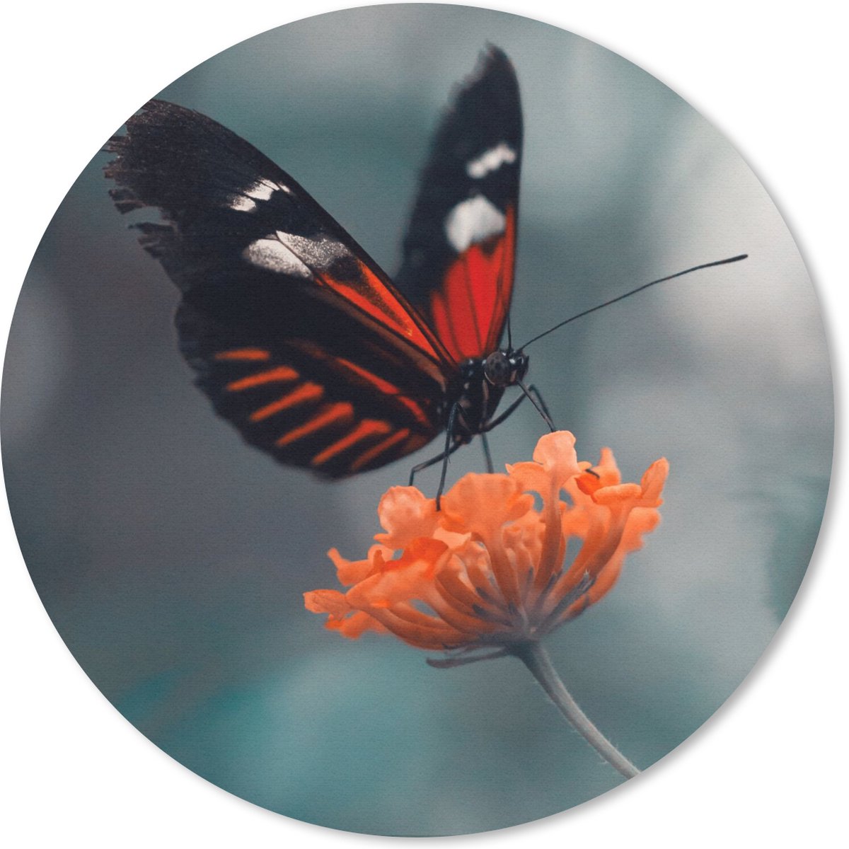 Muismat rond 20x20 cm - Mousepad Vlinder - Bloemen - Insect - Ronde muismatten
