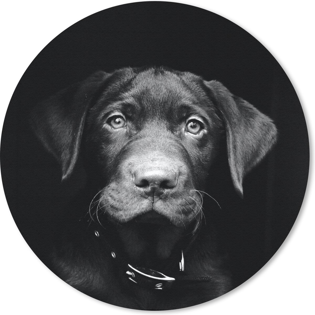 Muismat rond 40x40 cm - Mousepad Hond - Licht - Zwart - Ronde muismatten