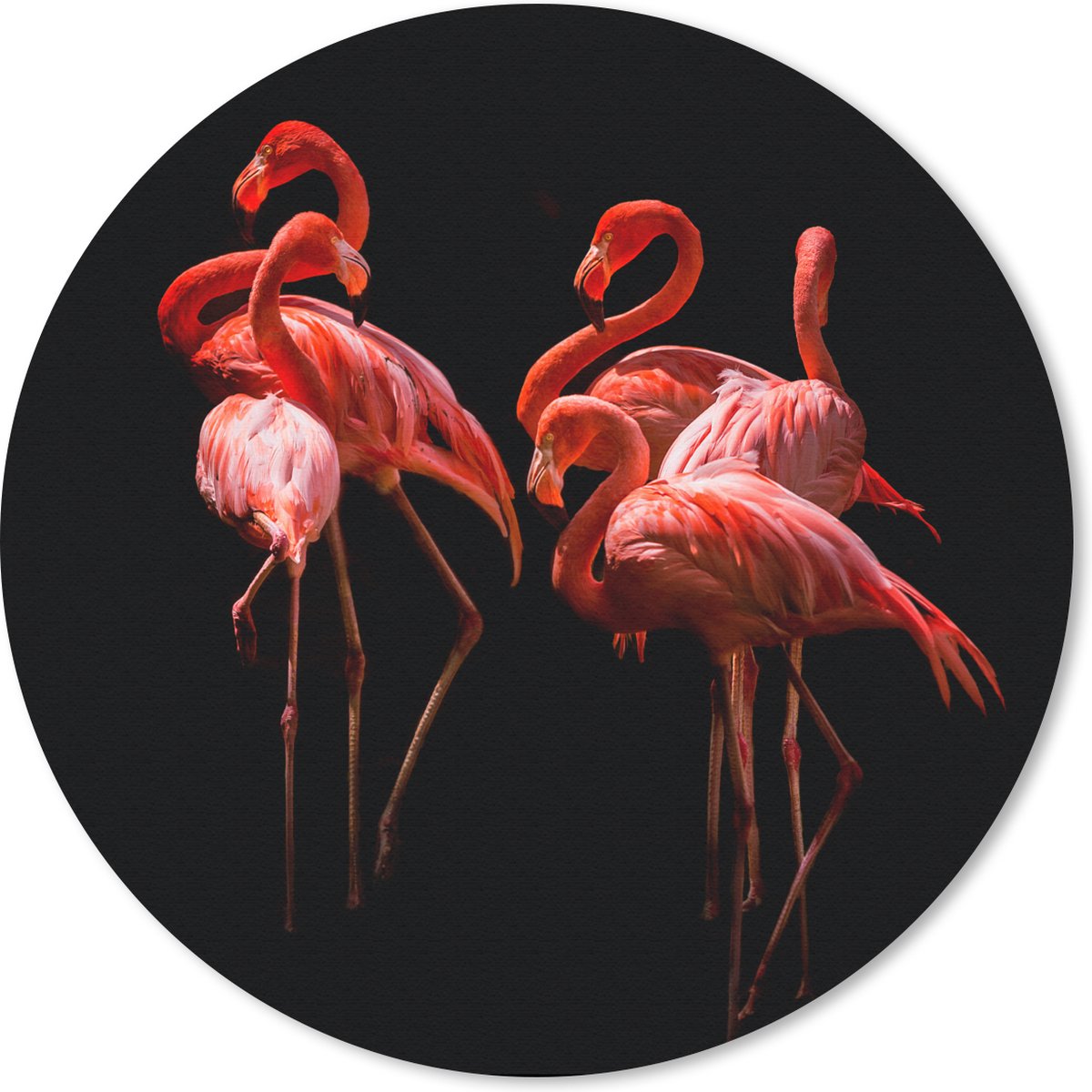 Muismat rond 40x40 cm - Mousepad Flamingo's - Vogels - Veren - Zwart - Ronde muismatten