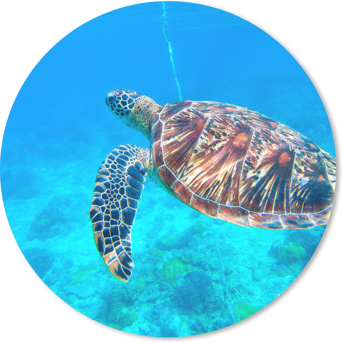 Muismat rond 30x30 cm - Mousepad Schildpad - Zee - Blauw - Ronde muismatten