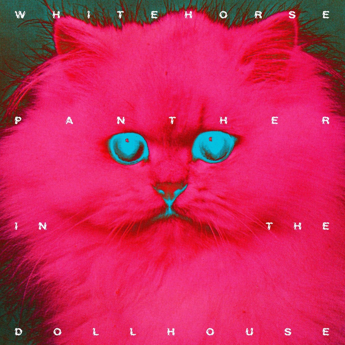 Panther In The Dollhouse
