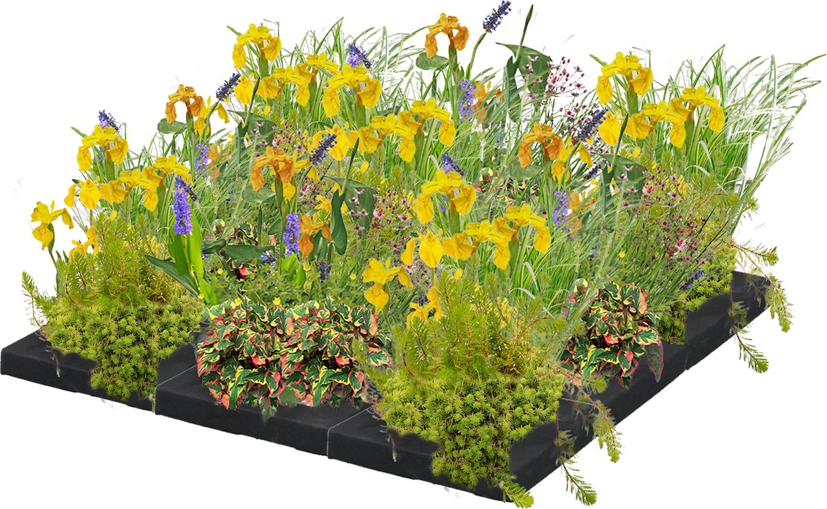 Vdvelde.com Drijvend Planteneiland M 75 cm Waterplanten 36 planten Plaatsing: -0 cm