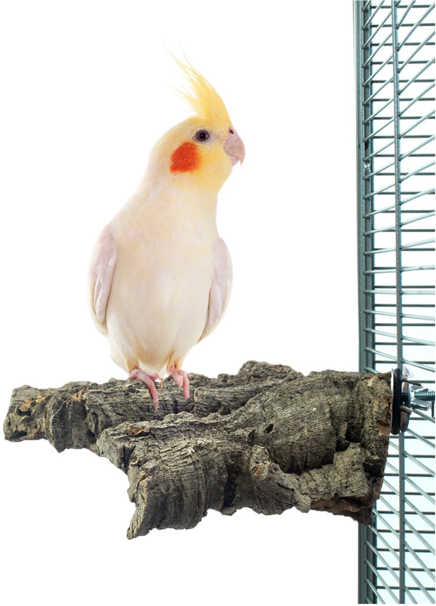 Back Zoo Nature Corky Chew - Vogelaccessoires - 16x10 cm Medium