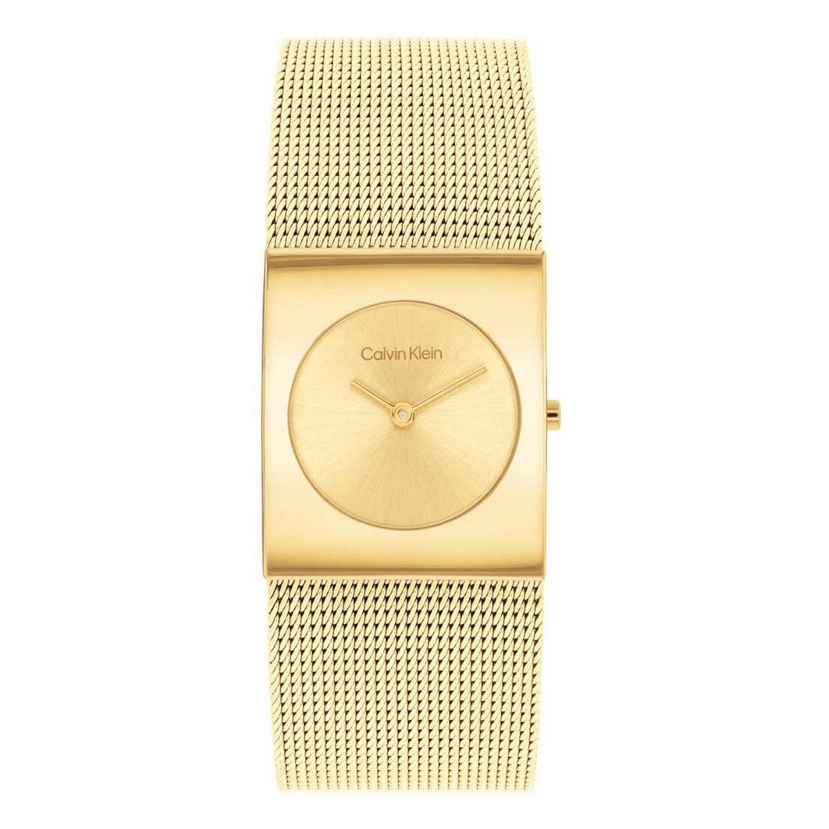 Calvin Klein CK25100062 Dames Horloge Staal 24mm