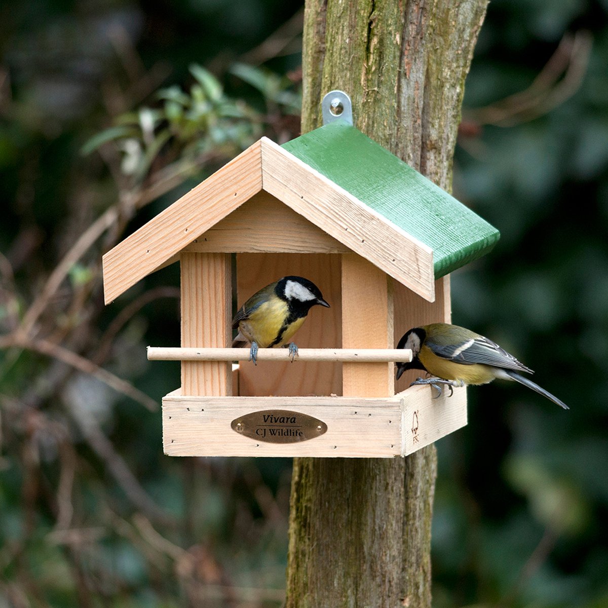 CJ Wildlife Vogelvoederhuisje voor Kleine Vogels & Tuinvogels - Amazone - Voederhuis van Hout - Voederhuisje Wandmodel - Bruin