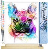 Acheter Figured'Art Peinture par Numéro Adulte avec Cadre Surf sur grande vague Activité Manuelle Kit de Loisir Créatif DIY d'Art Complet 40x50cm toile tendue châssis ? Comparer chez