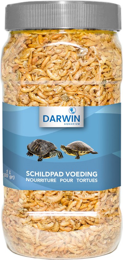 Foto: Darwin schildpad voeding voer 1 l