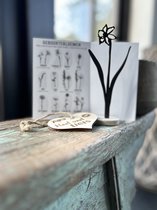 Créations d'Ici - Fleur de naissance avec coeur en bois - Jonquille - Mars - MDF Zwart - Bois