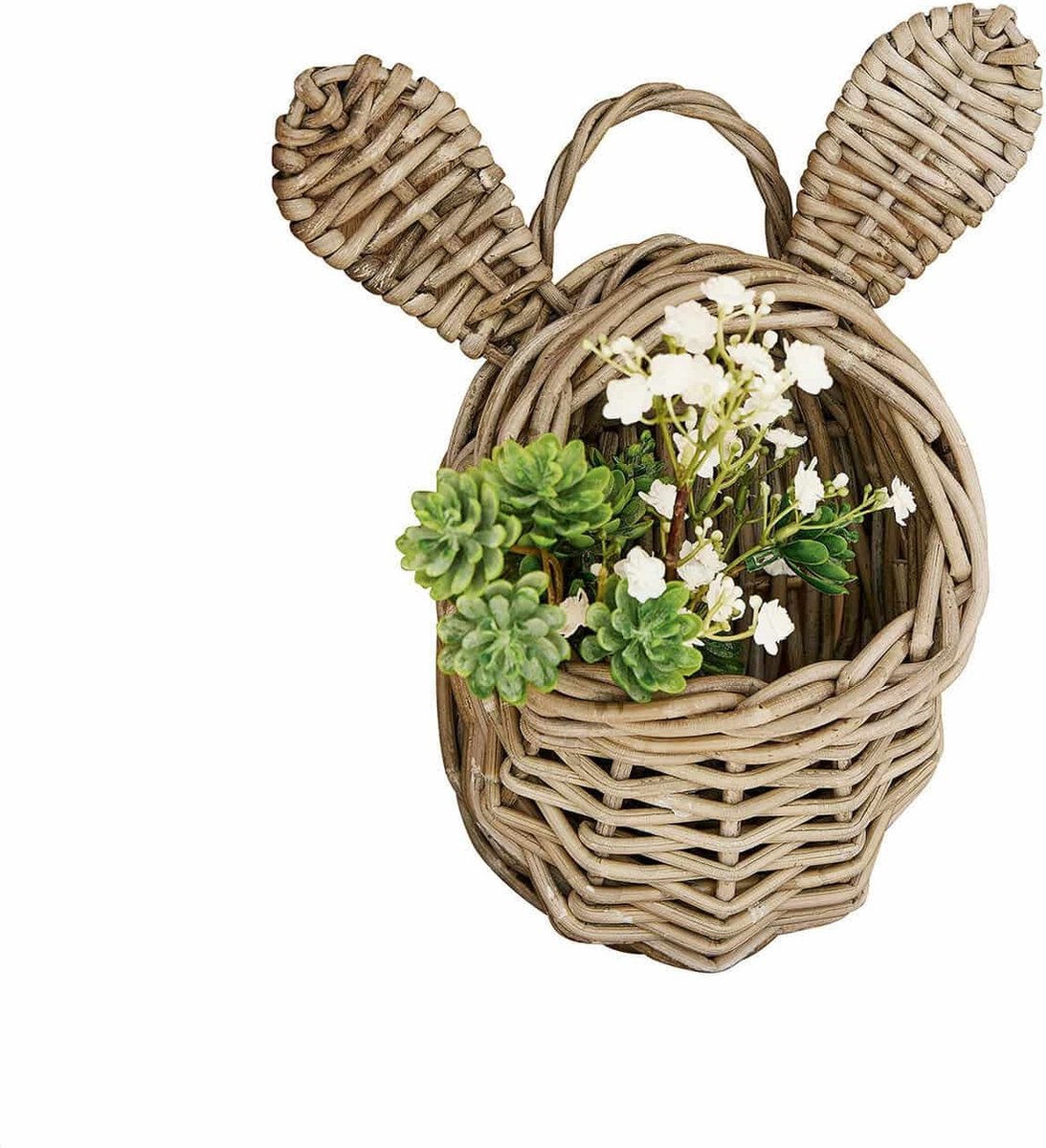 LOBERON Mand Frances bruin
