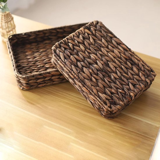 Rechthoekige Mini Dienblad Met Libellen - Melamine Decoratie 20,5 X 13,5 Cm