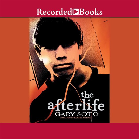 The Afterlife - cover