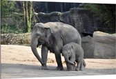 Dibond - Olifant met Baby - 150x100cm Foto op Aluminium (Met Ophangsysteem)