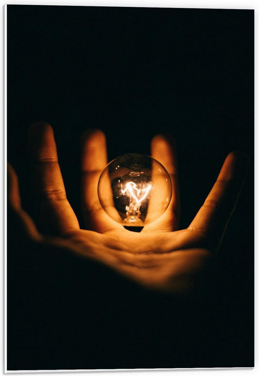 Forex - Lichtgevende Gloeilamp in Handen met Zwarte Achtergrond - 40x60cm Foto op Forex
