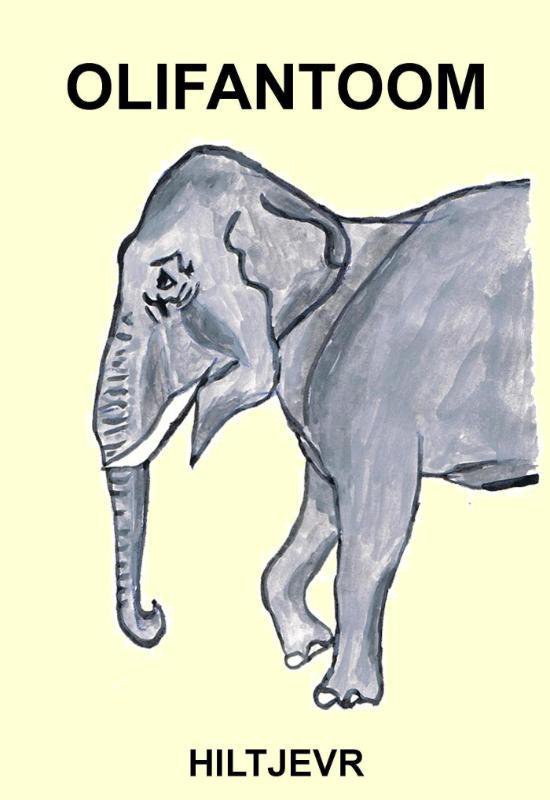 Cover van het boek 'Olifantoom'