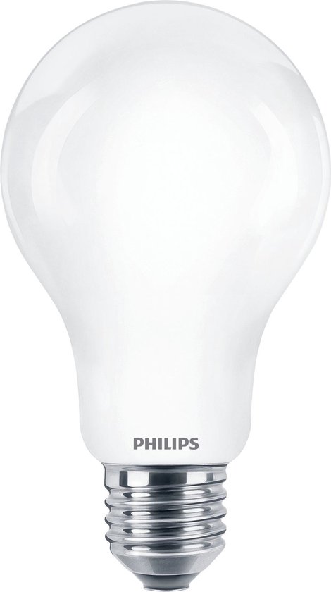 Philips 8718699764555 ampoule LED 13 W E27 A++