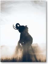 Olifant in Rijstveld - 60x90 Forex Staand - Dieren