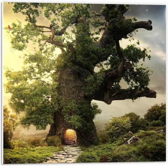 Forex - Magische Doorgang in Sprookjesboom - 50x50cm Foto op Forex