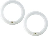 2 stuks Philips Master TL-E 22W/865