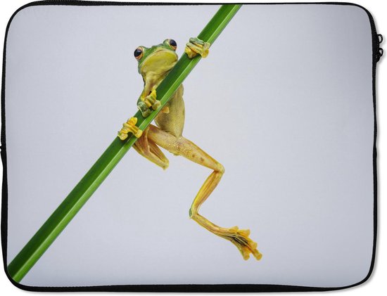 15.6 inch laptophoes kikker