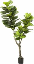 Ficus Lyrata XL kunstplant