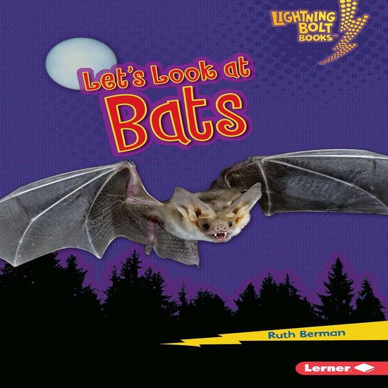 Let's Look at Bats - cover