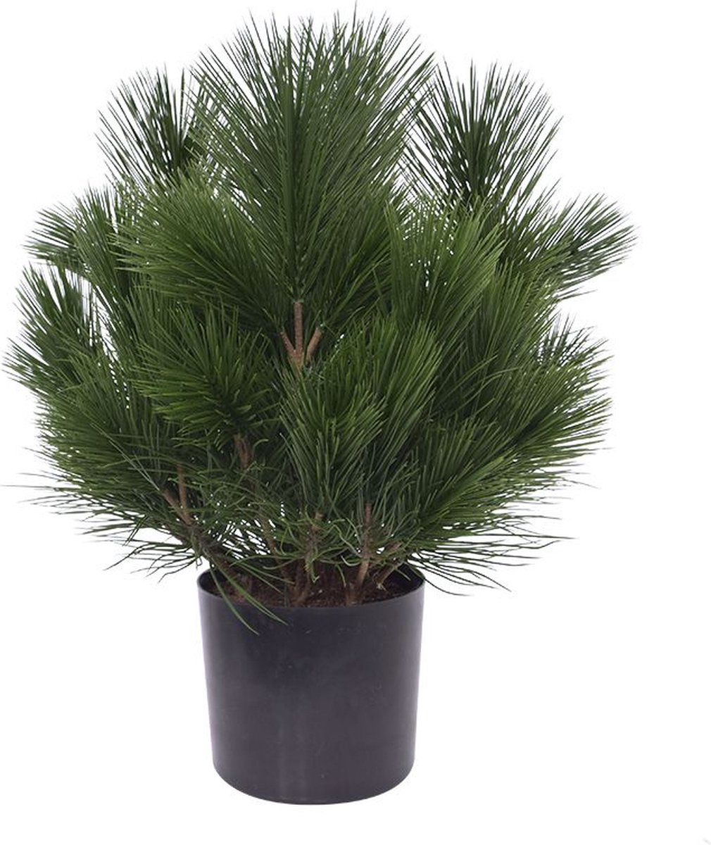 Pinus bol kunstplant 45cm - UV bestendig