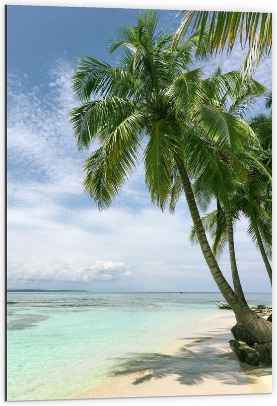Dibond - Palmboom op Tropisch Eiland - 60x90cm Foto op Aluminium (Wanddecoratie van metaal)