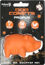 Dog Comets Propus Oranje | 1 st