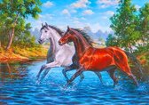 Dielay - Diamond Painting Pakket - Paarden in Rivier - 50x40 cm - Complete Set - Volledige Bedekking - Ronde Steentjes